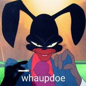 Meet your Posher, Jesse